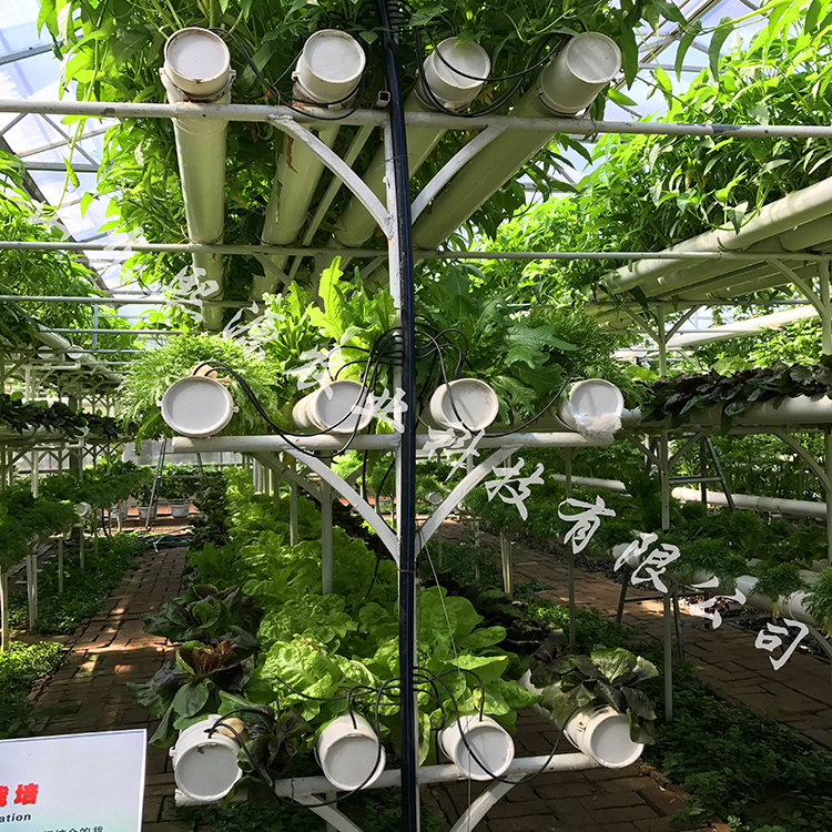 无土栽培水耕设备 营养液水培蔬菜种植 山东无土栽培厂家批发