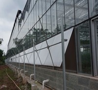 甘肃草莓温室大棚建设