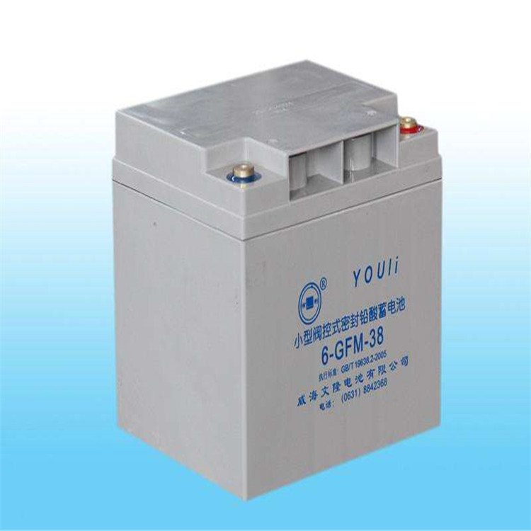 YOULI蓄电池6-GFM-65  免维护铅酸储能蓄电池12V65AH 有利蓄电池