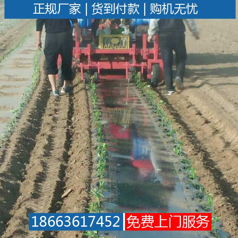 栽苗机价格甜瓜移栽机