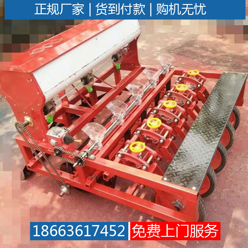 栽苗机价格生菜栽苗机
