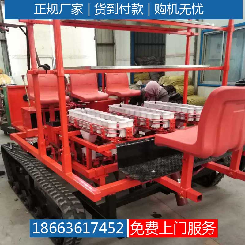 栽苗机价格甜玉米栽苗机