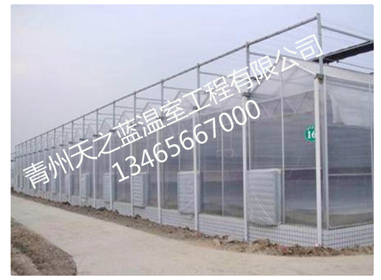 纹络温室大棚 阳光板温室大棚建造