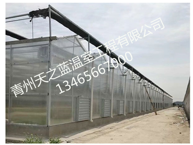 纹络式阳光板薄膜温室大棚——青州天之蓝