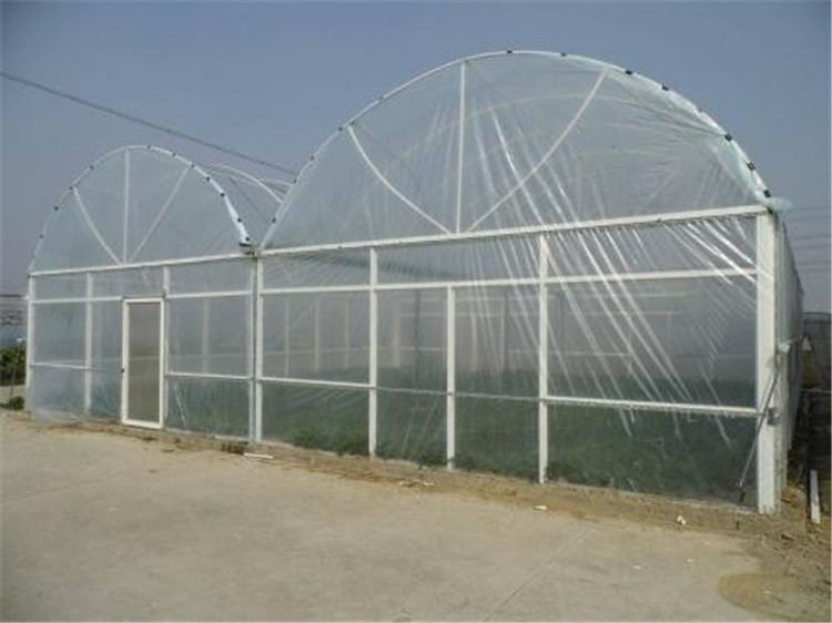 建设温室大棚_薄膜温室大棚_连栋温室大棚_单栋温室大棚