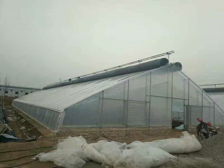 日光温室大棚建造  连栋大棚造价设计