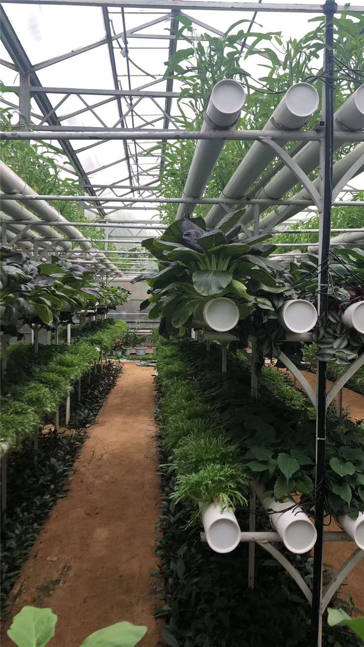 立体种植花卉设备 立体种植蔬菜温室建设  金威温室材料