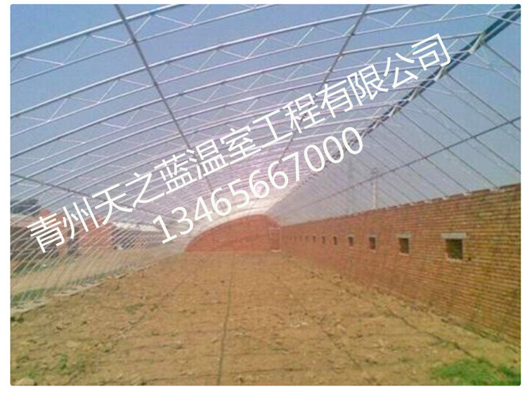 镀锌钢结棚日光温室   大棚建设 青州文洛型温室设计