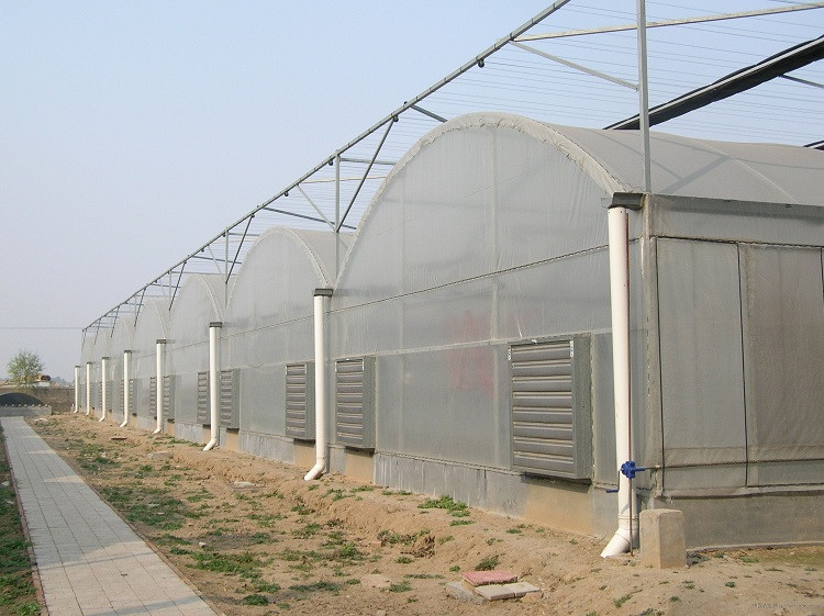 连栋薄膜温室大棚建造厂家 结实耐用的薄膜温室工程