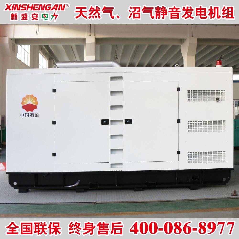发电机组250KW静音发电机组 沼气发电机组重汽发动机 天然气发电