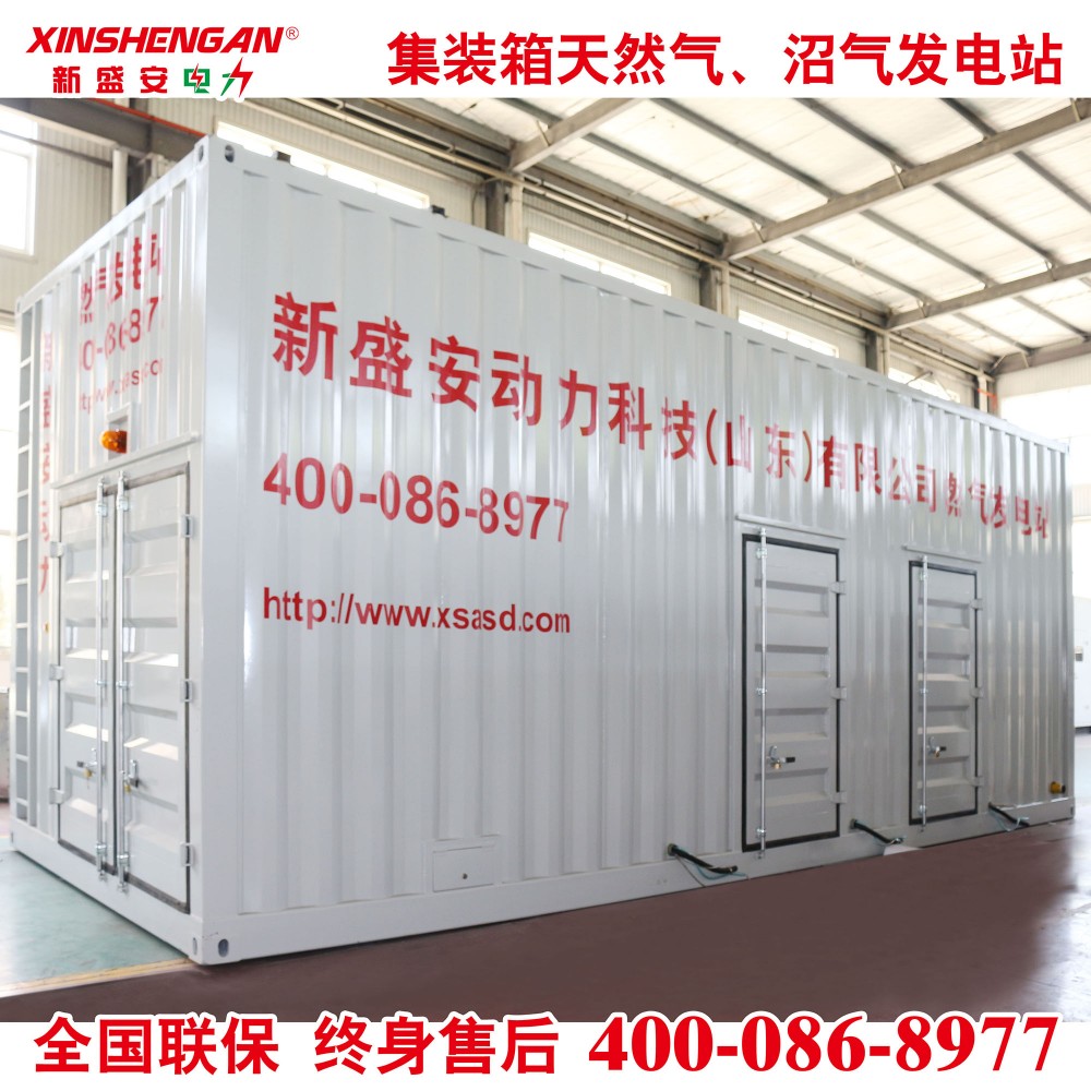 600KW沼气发电机组 集装箱燃气发电机组600KW 600KW集装箱沼气发电机组