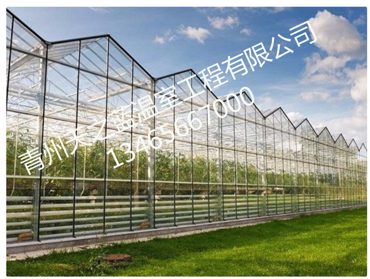 生态智能玻璃温室   中空玻璃生态大棚价格