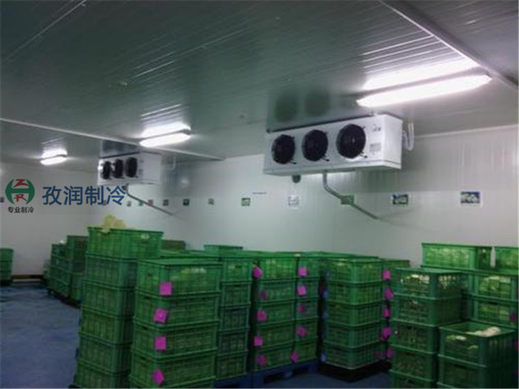 滁州来安室外冷库-露天冷库-土建冷库-新型节能冷库
