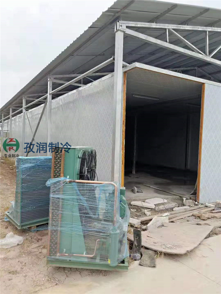 淮南潘集蔬菜冷藏冷库-蔬菜冷藏设备-蔬菜冷库建造-安装保鲜设备