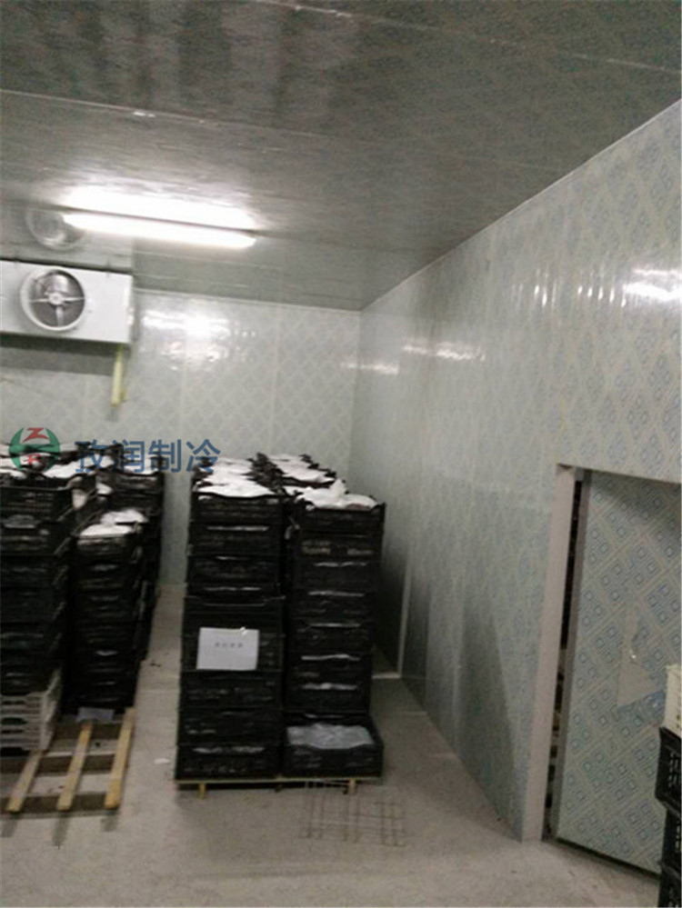 蚌埠五河电商生鲜冷库工程建设-供应全套冷库设备-冷库安装公司