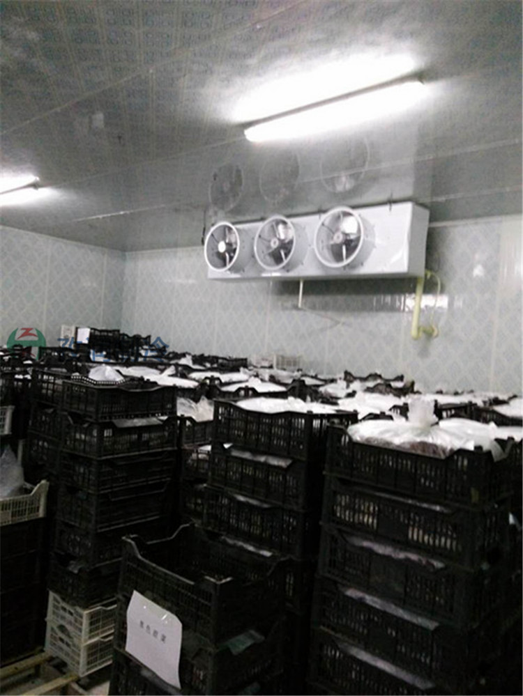 黄山冷库安装服务商-农业冷库-农业项目补贴冷库-种植基地保鲜冷库