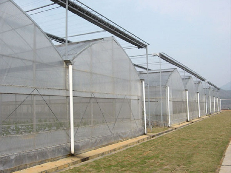 纹络式连栋温室 连栋蔬菜大棚预算 连栋薄膜温室造价