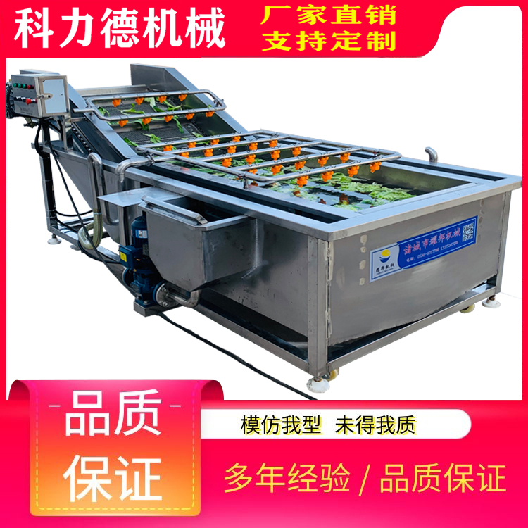 科力德果蔬清洗机 高压水果喷淋气泡机 多功能蔬菜去杂机 果蔬气泡清洗机厂家直供