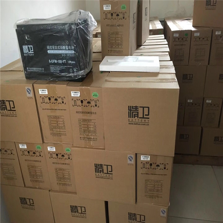 精卫蓄电池6-GFM-24-YT/12V24AH免维护阀控密封式铅酸蓄电池 UPS电源