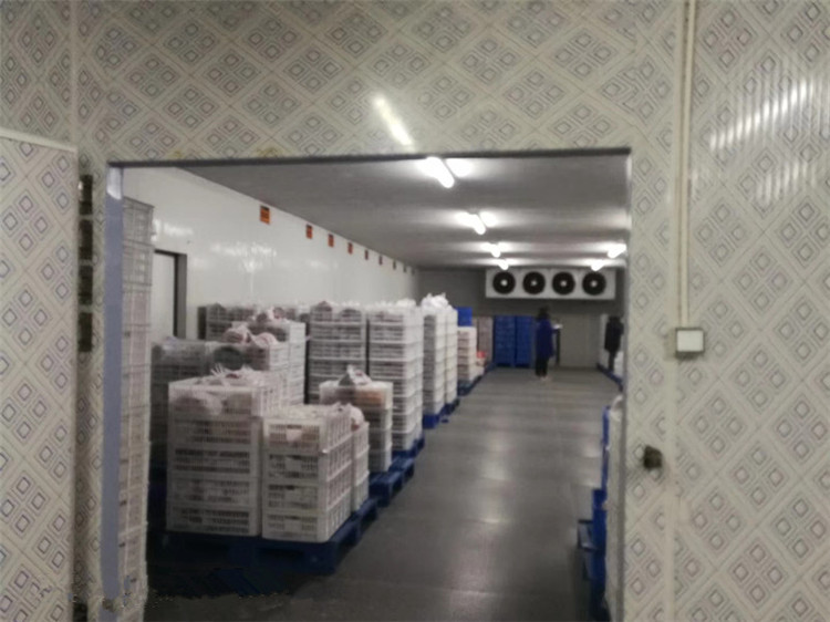 亳州涡阳速冻冷库-急冻库-速冻食品冷库-医药速冻库-冻品冷库