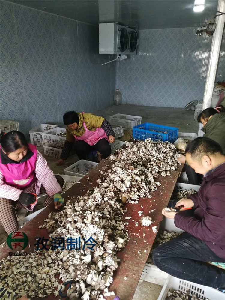 宿州灵璧冷库用制冷设备-冷库压缩机-比泽尔压缩机-冷库进口压缩机