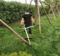成都园林绿化工程施工 绿化管理服务 成都园林绿化