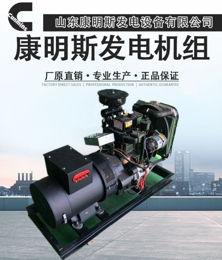 噪音小双缸柴油发电机组 船用柴油发电机组厂家