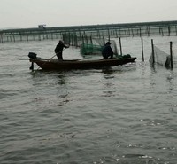水产海鲜   厂家直销  大团购