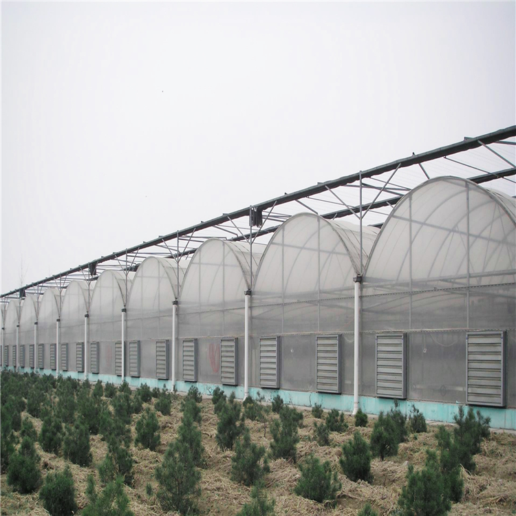 薄膜温室大棚 连栋薄膜温室大棚 青州温室大棚建造商 鸿川