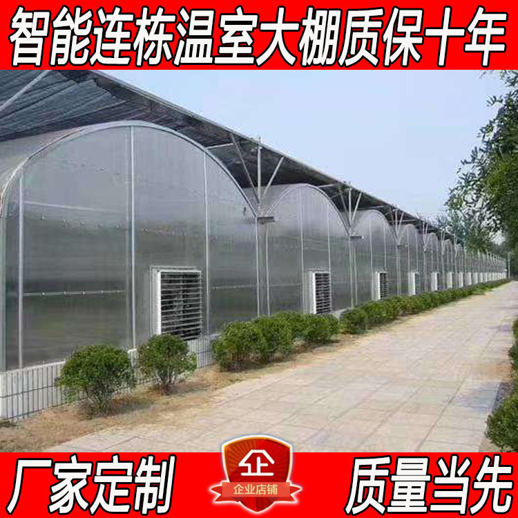 塑料单体拱棚薄膜连栋温室安装承建