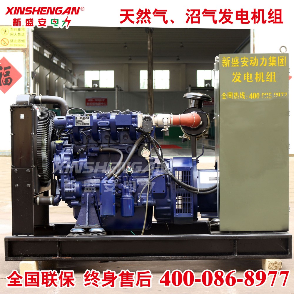 XINSHENGAN 40KW发电机组 燃气发电机组 天然气发电机组 沼气发电机组