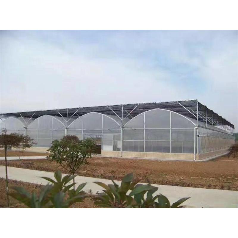 薄膜温室大棚 承建温室大棚 薄膜连栋温室大棚