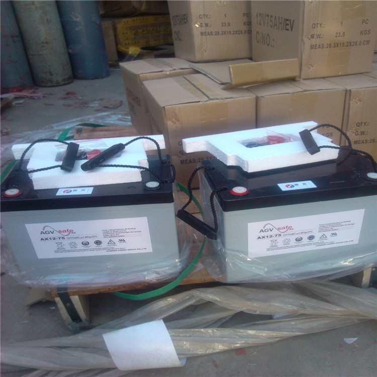 艾诺斯蓄电池NP90-12  genesis蓄电池12V90AH 霍克