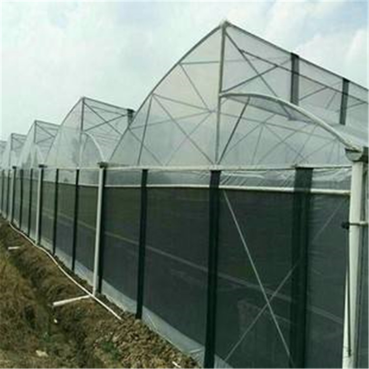 玻璃大棚 天之蓝建造厂家 定制玻璃温室大棚