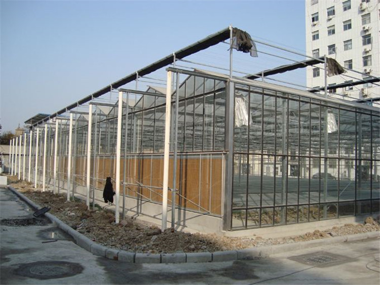 玻璃温室建设安装 玻璃大棚整体效果图 玻璃温室造价 天之蓝温室