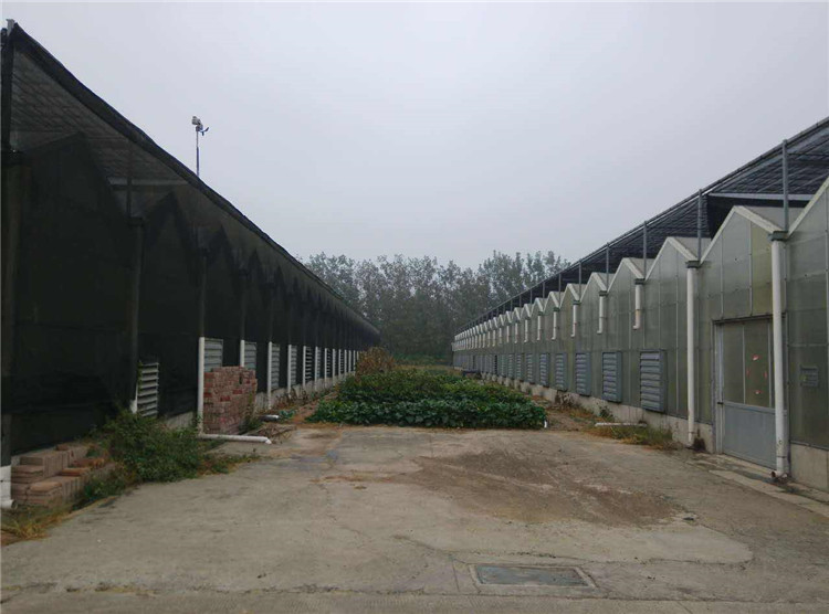 连栋玻璃大棚厂家 江西温室玻璃工程 玻璃温室建设