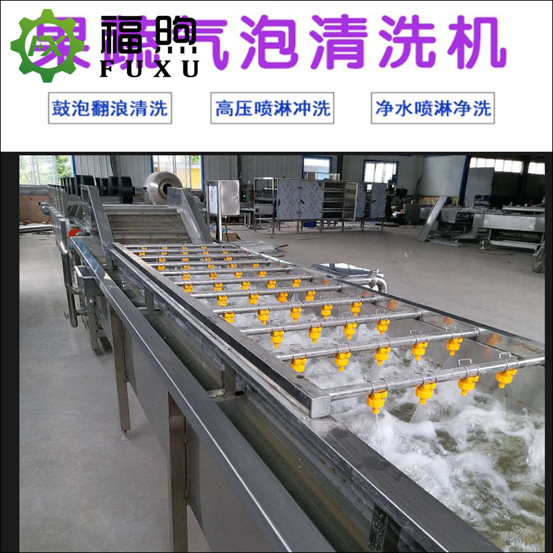 多功能洗菜机 福煦叶菜类蔬菜气泡清洗机 小龙虾气泡清洗机