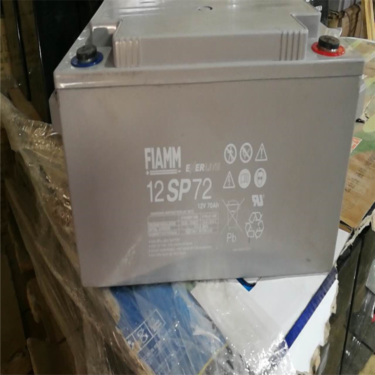 非凡FIAMM蓄电池FG21703 12V17AH UPS铅酸蓄电池 应急照明• 信号• 安全及报警系统