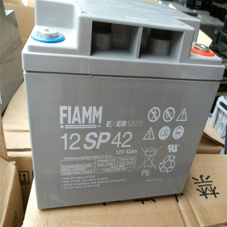非凡蓄电池12SP120 12V120AH 意大利FIAMM厂家