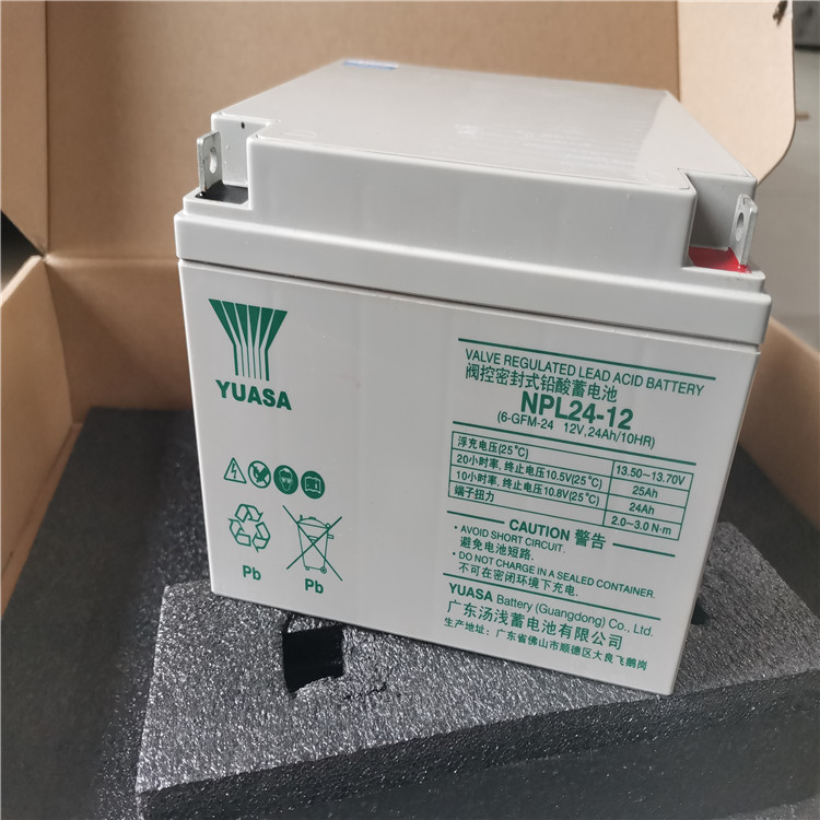 YUASA蓄电池NPL24-12 12V24AH