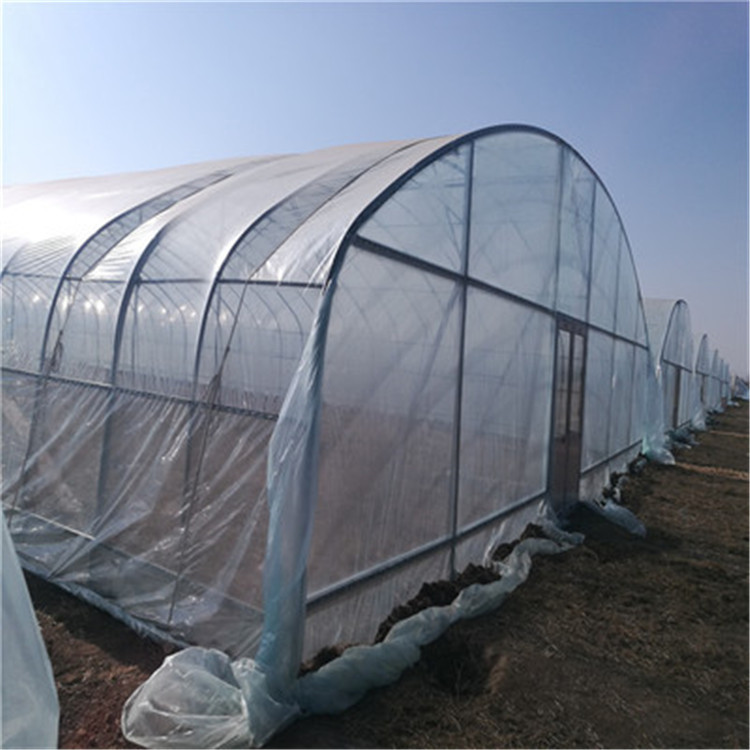 天之蓝 日光温室大棚 蔬菜大棚 暖棚