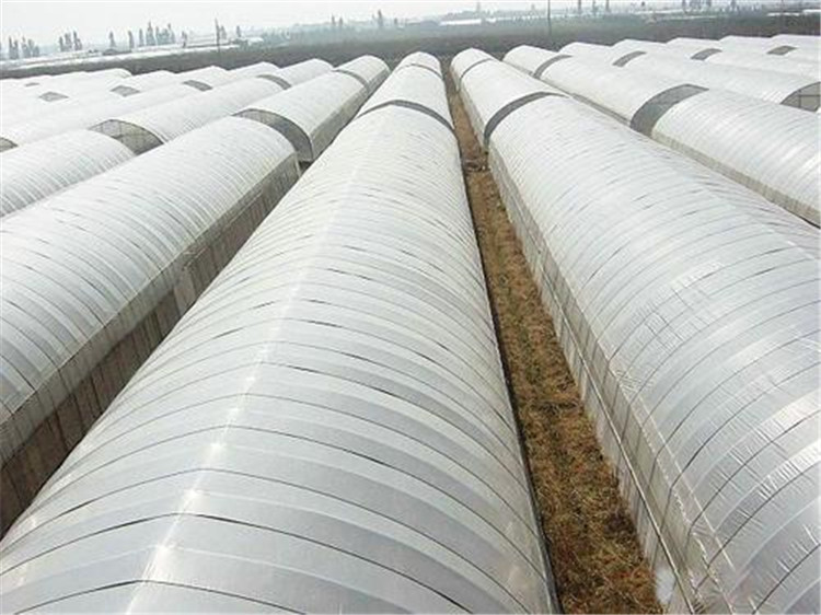 天之蓝制造 日光温室大棚 日光温室造价 日光大棚建设施工