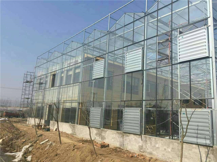玻璃温室 专业玻璃温室设计 天之蓝专业玻璃温室建造公司