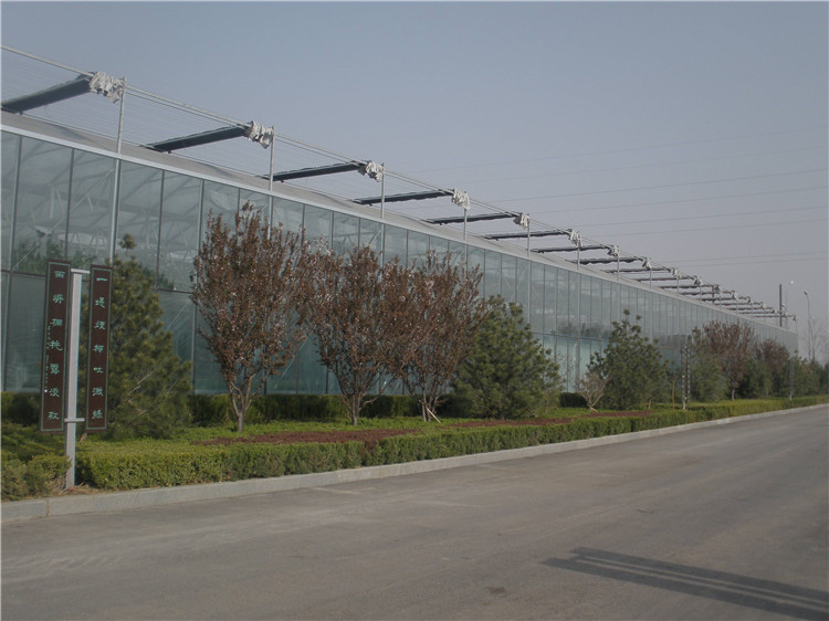 智能玻璃温室建设安装 玻璃温室大棚生产厂家 玻璃温室工程