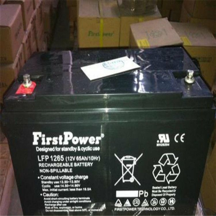 FirstPower一电蓄电池 LFP1238L 免维护蓄电池12V38AH  UPS储能电源