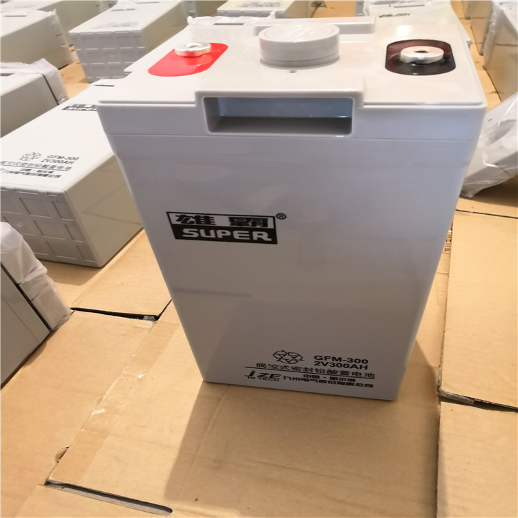 九洲雄霸蓄电池GFM-300 2V300AH 电厂 免维护铅酸 UPS 直流屏蓄电池