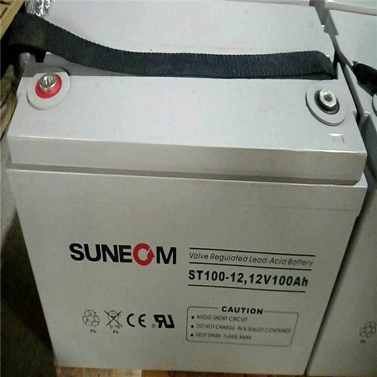 SUNEOM蓄电池2V1000AH 新能蓄电池UXL1100-2N 储能免维护铅酸蓄电池