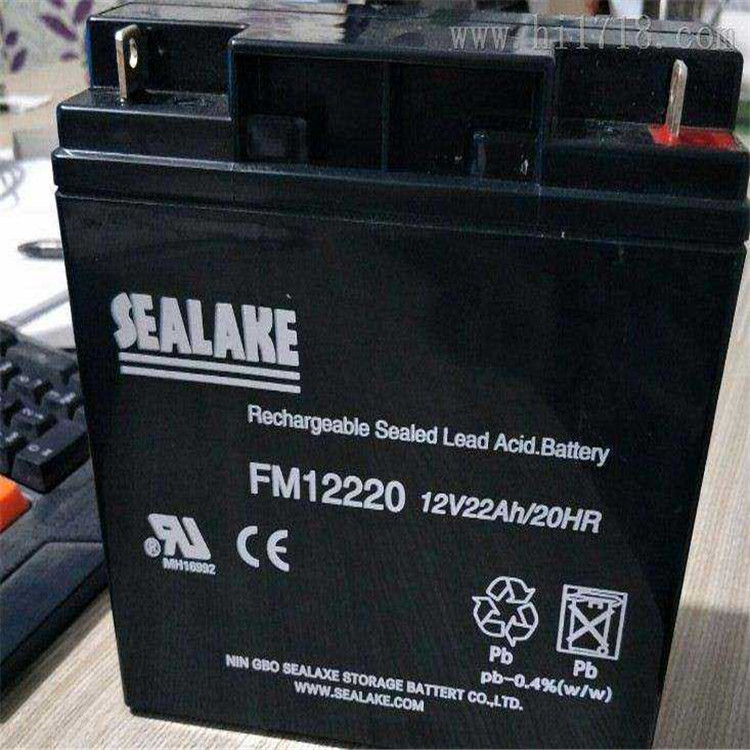SEALAKE蓄电池FM12330 12V33AH  海湖铅酸蓄电池价格