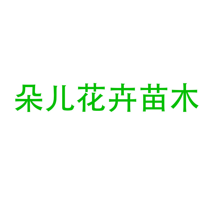 青州市朵儿花卉苗木有限公司
