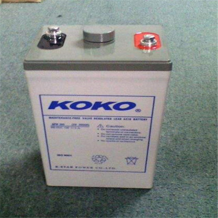 KOKO蓄电池GFM100 可可蓄电池2V100AH UPS不间断电源应用 直流屏蓄电池